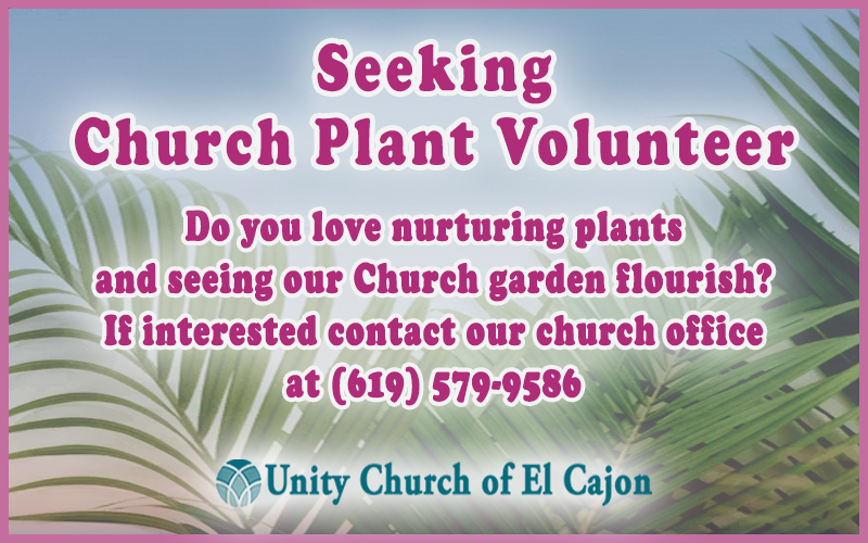 Plant Volunteer ad